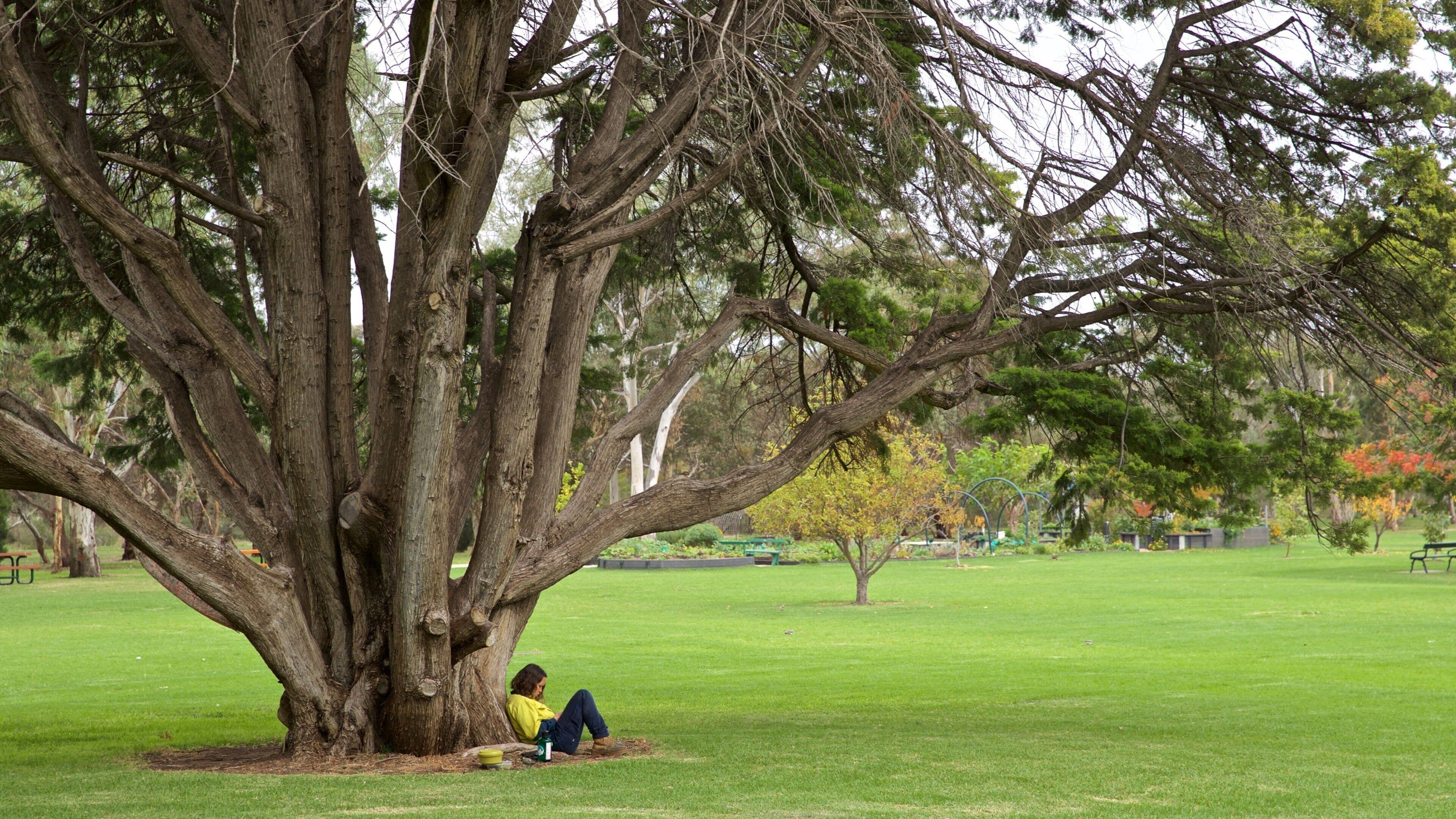 Veale Gardens featuring a garden as well as an individual femail