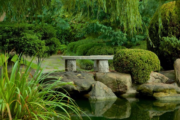 Himeji Gardens showing a garden and a pond