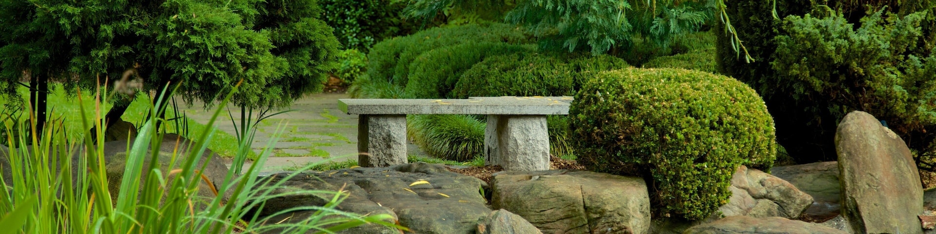 Himeji Gardens showing a garden and a pond