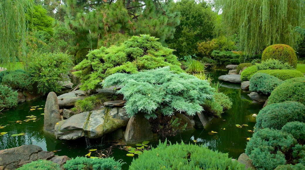 Himeji Gardens which includes a garden and a pond