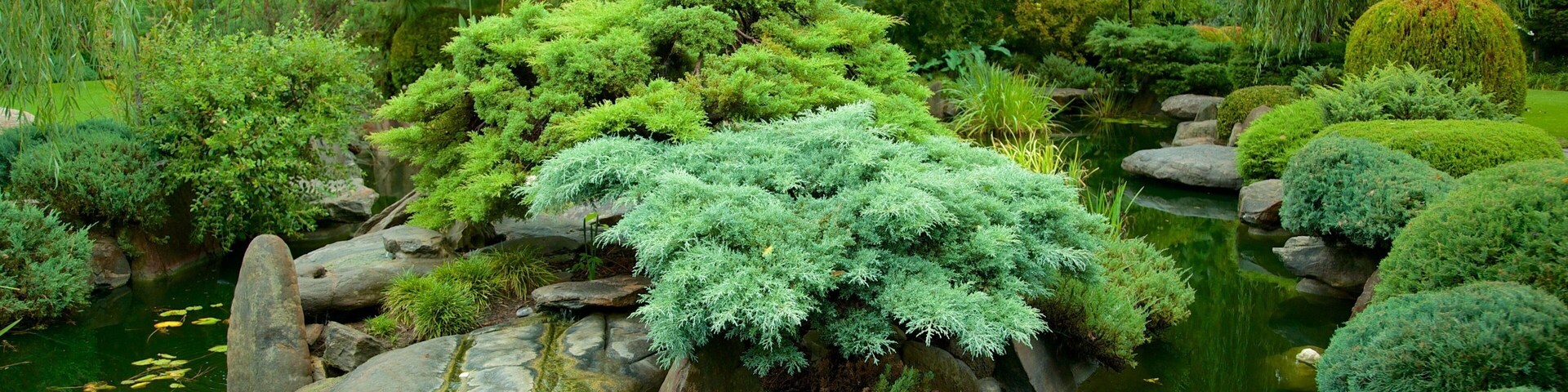 Himeji Gardens caracterizando um jardim e um lago