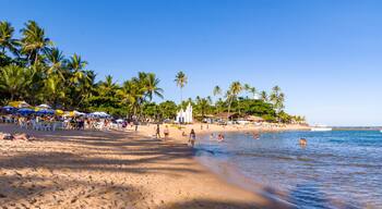 Praia do Forte na Bahia