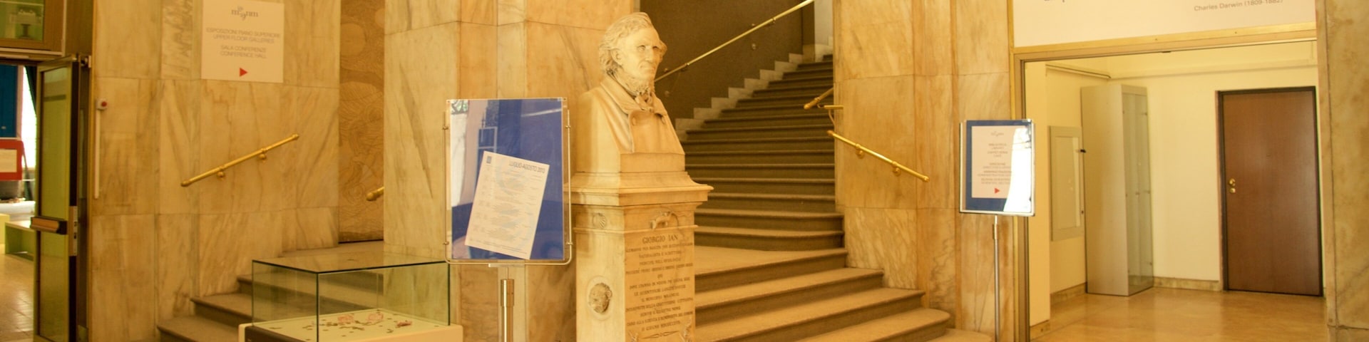 ๋น๋ผ ๋ ์๋  ์ ๋ณด์ฌ์ฃผ๋ ์ ํธ, ์ค๋ด ์ ๊ฒฝ ๊ณผ ๋ฌธํ์ ์ฐ ์์