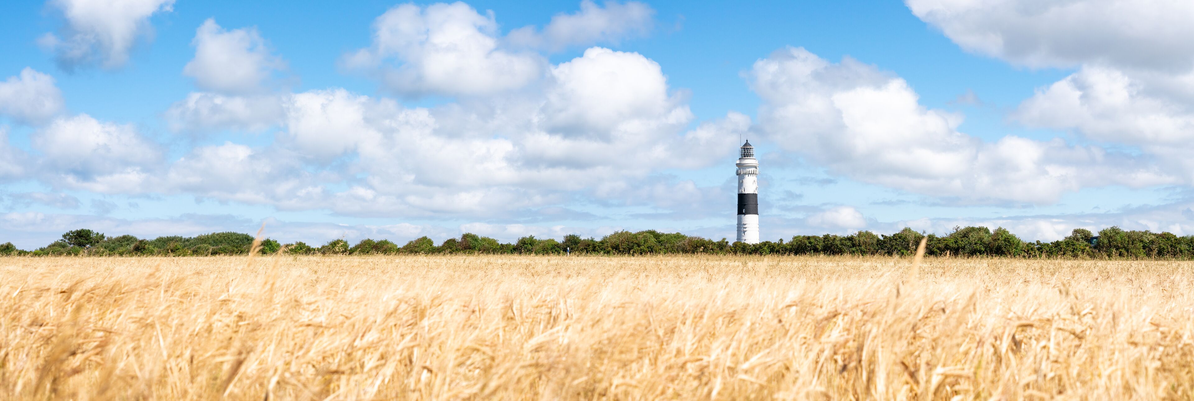 A lighthouse in a golden wheat field with a clear blue sky.