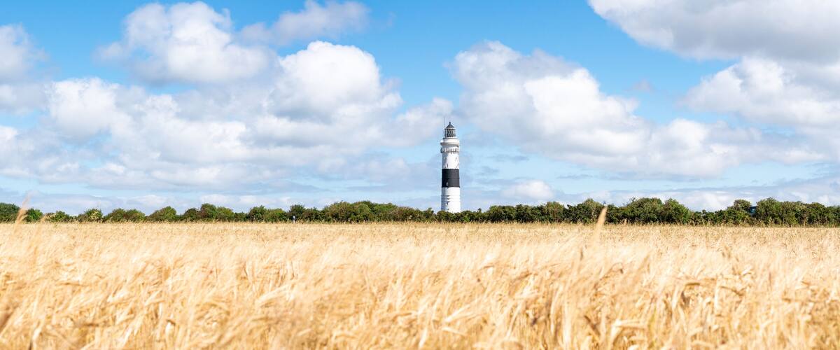 A lighthouse in a golden wheat field with a clear blue sky.