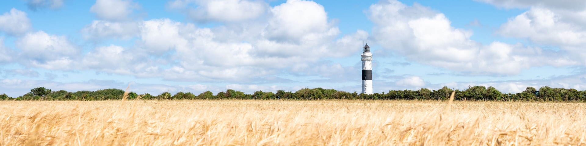 A lighthouse in a golden wheat field with a clear blue sky.