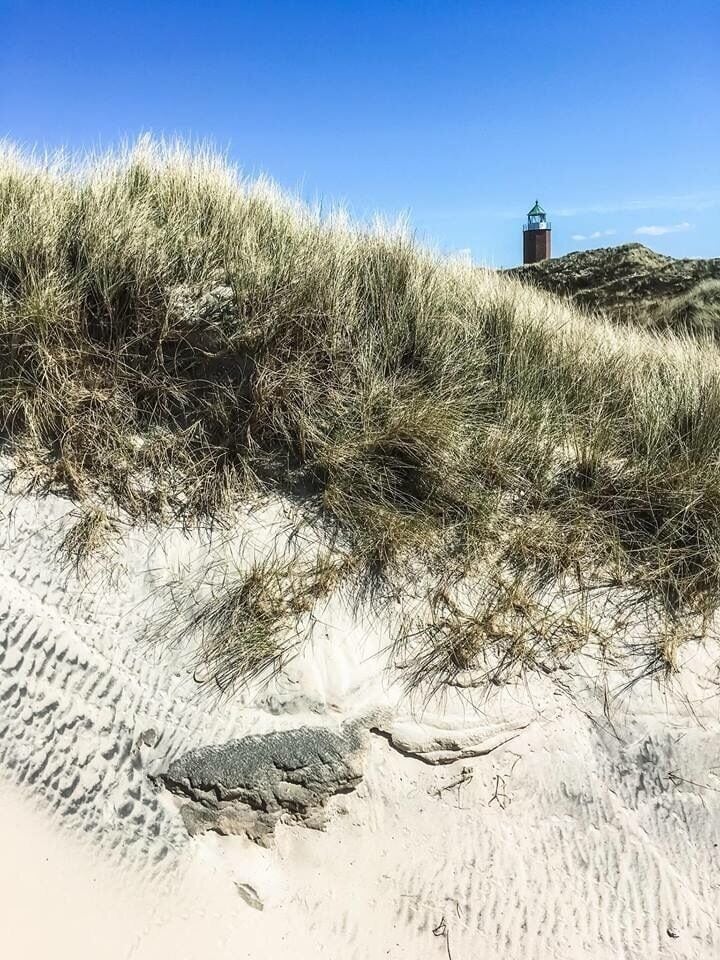 Sylt