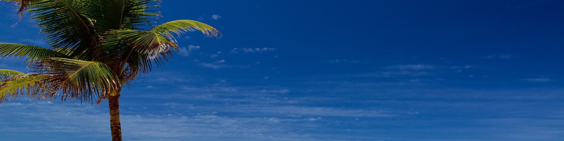 Flamengo Beach og byder på tropiske områder og en strand