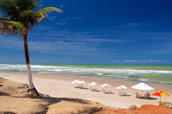 Flamengo Beach og byder på tropiske områder og en strand