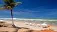 Salvador which includes a sandy beach and tropical scenes