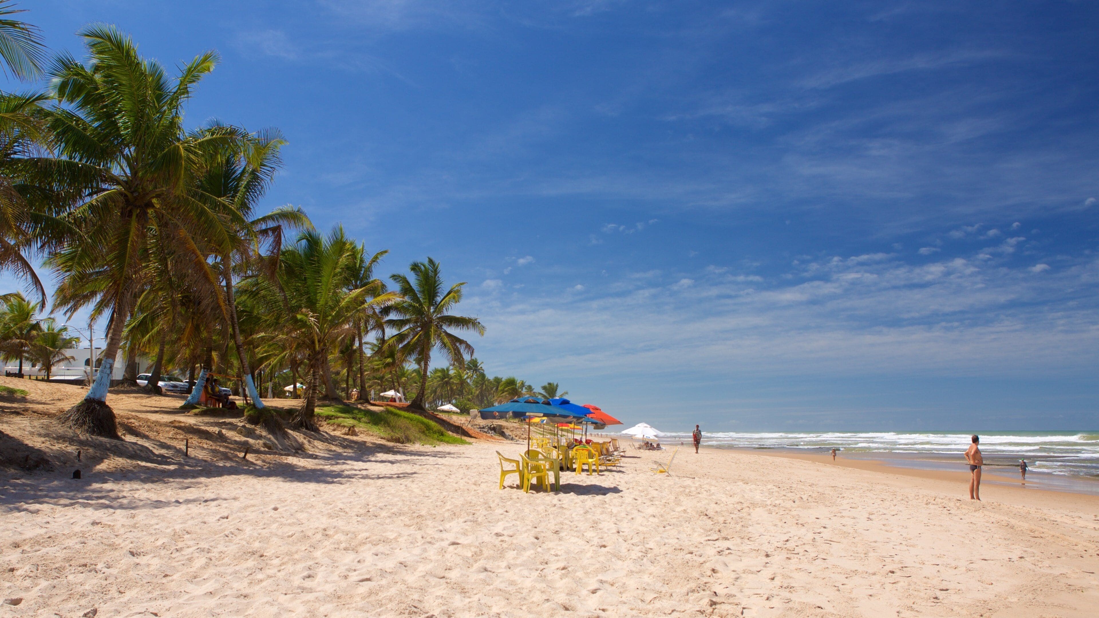 Salvador showing a beach, tropical scenes and general coastal views