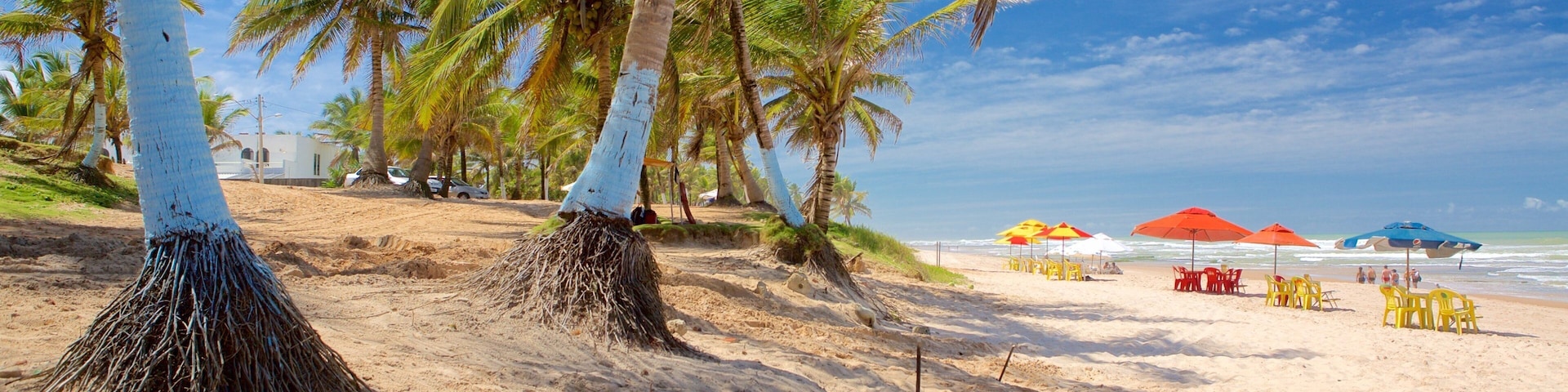 Flamengo Beach showing general coastal views, tropical scenes and a sandy beach