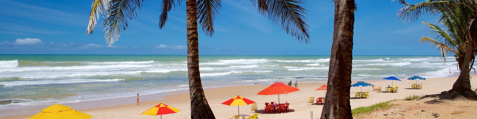 Salvador which includes a beach, waves and tropical scenes