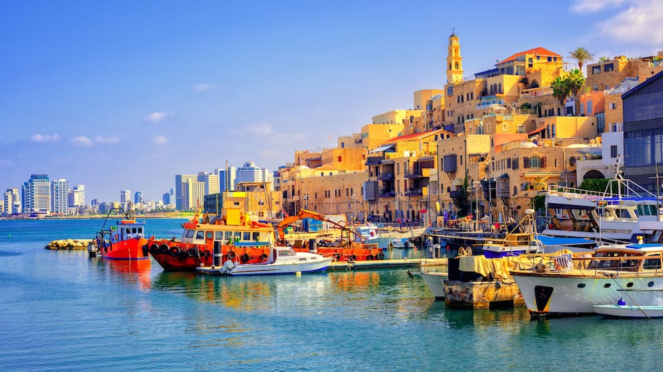 A coastal town with historic buildings, a prominent tower, and a marina with various boats.