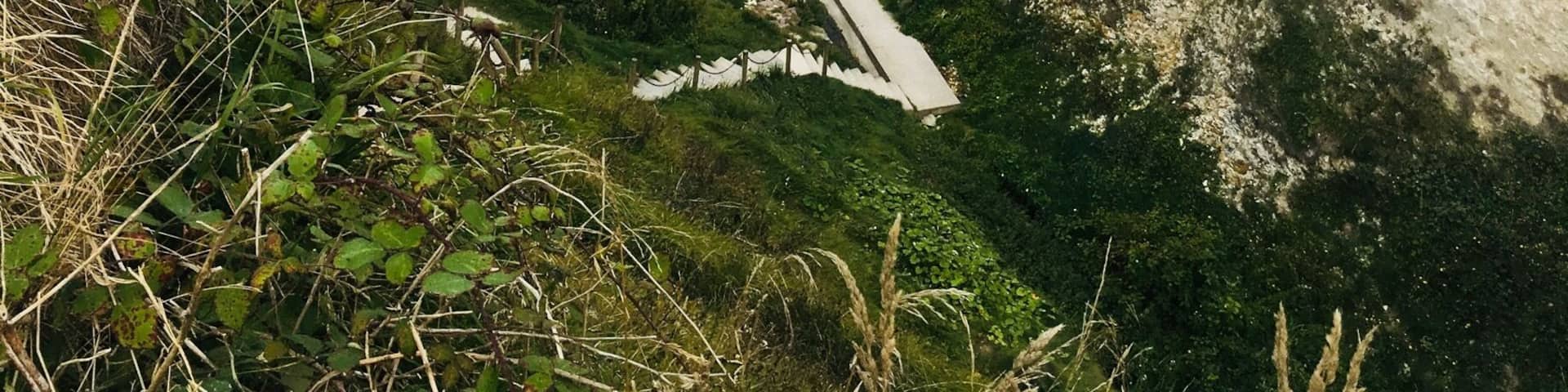 En hauteur à contempler la valleuse de vasterival 😎