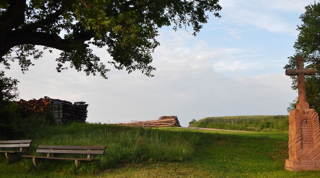 Wegekreuz gestiftet von Familie Mock 1920: Was will das Kreuz - Das an dem Wege steht - Es will den Wanderer - Der vorüber geht - Das große Wort - Des Trostes sagen - Du sollst den Herrn - Das Kreuz nachtragen
