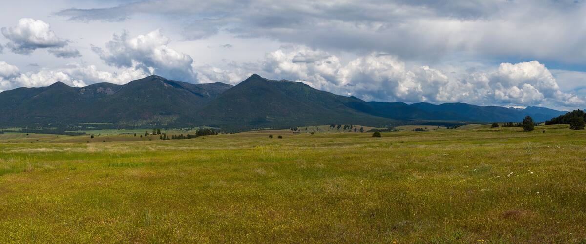 A grassy field with mountains in the background.