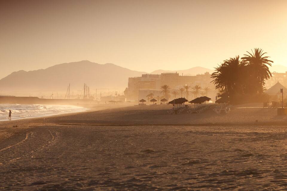 A beach with palm trees, a mountain in the background, and buildings along the shore.
