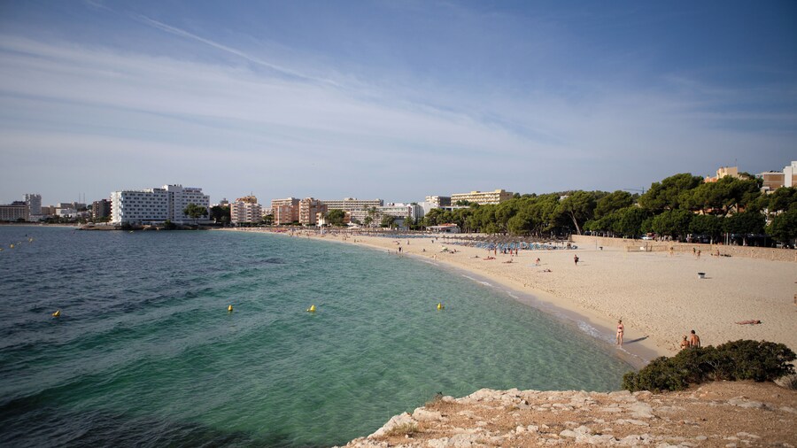 PalmadeMallorca_PalmaNovaBeach_6187240_03-2