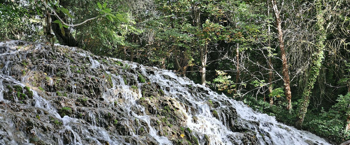A cascading waterfall surrounded by dense forest.