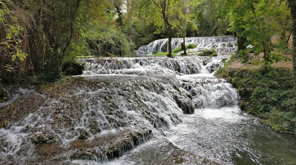 Park in Monasterio de Piedra, Zaragoza Spain