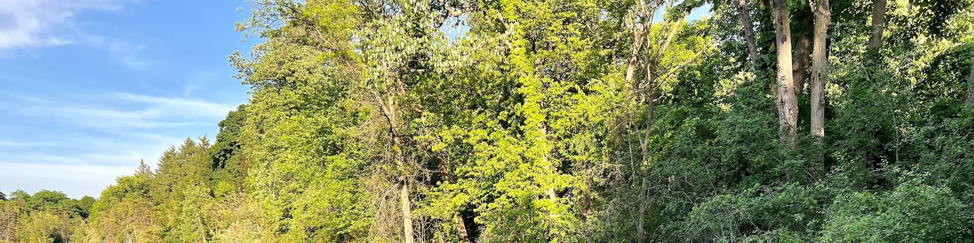 Johnson nature center in Bloomfield Hills Michigan in summer