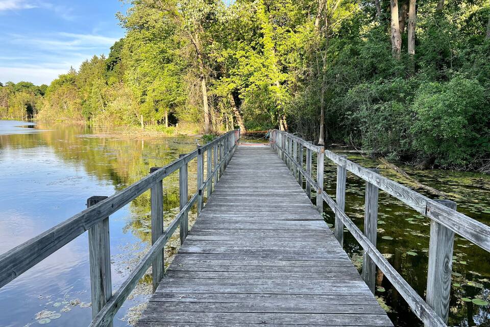 Un muelle de madera se extiende sobre aguas tranquilas, rodeado de abundante follaje verde y árboles.