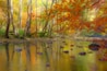 Creekside Park (puisto)