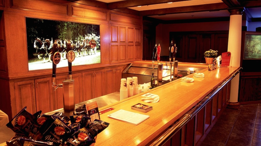 Fábrica de cerveza Anheuser-Busch mostrando vistas interiores y un bar