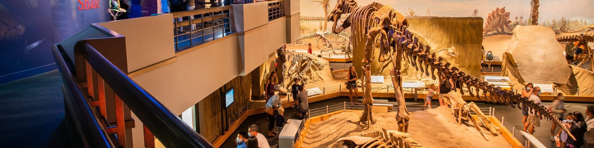 Royal Tyrrell Museum showing heritage elements and interior views