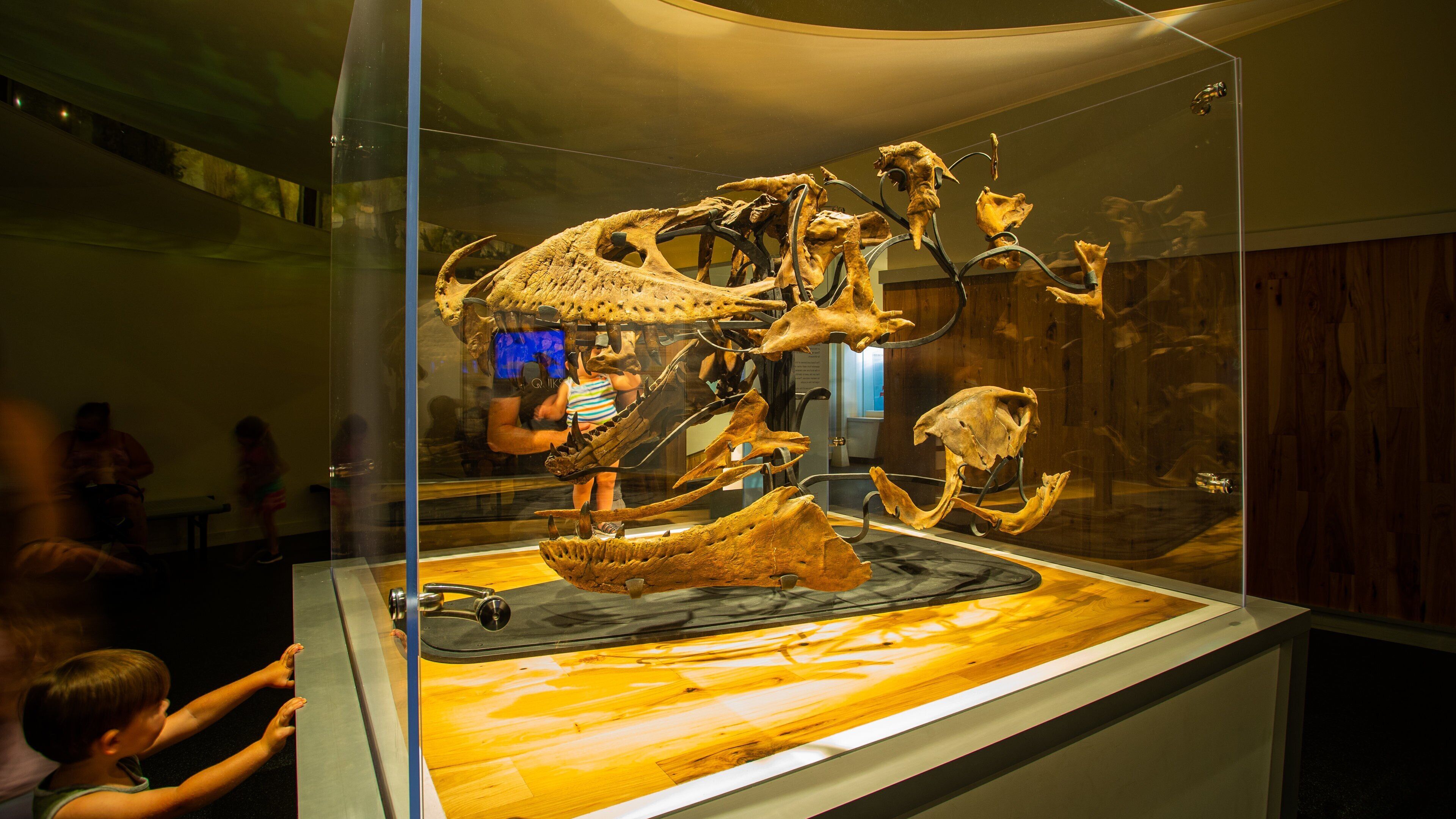 Royal Tyrrell Museum which includes heritage elements and interior views