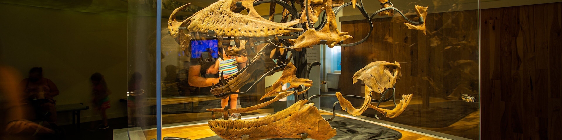 Royal Tyrrell Museum which includes heritage elements and interior views