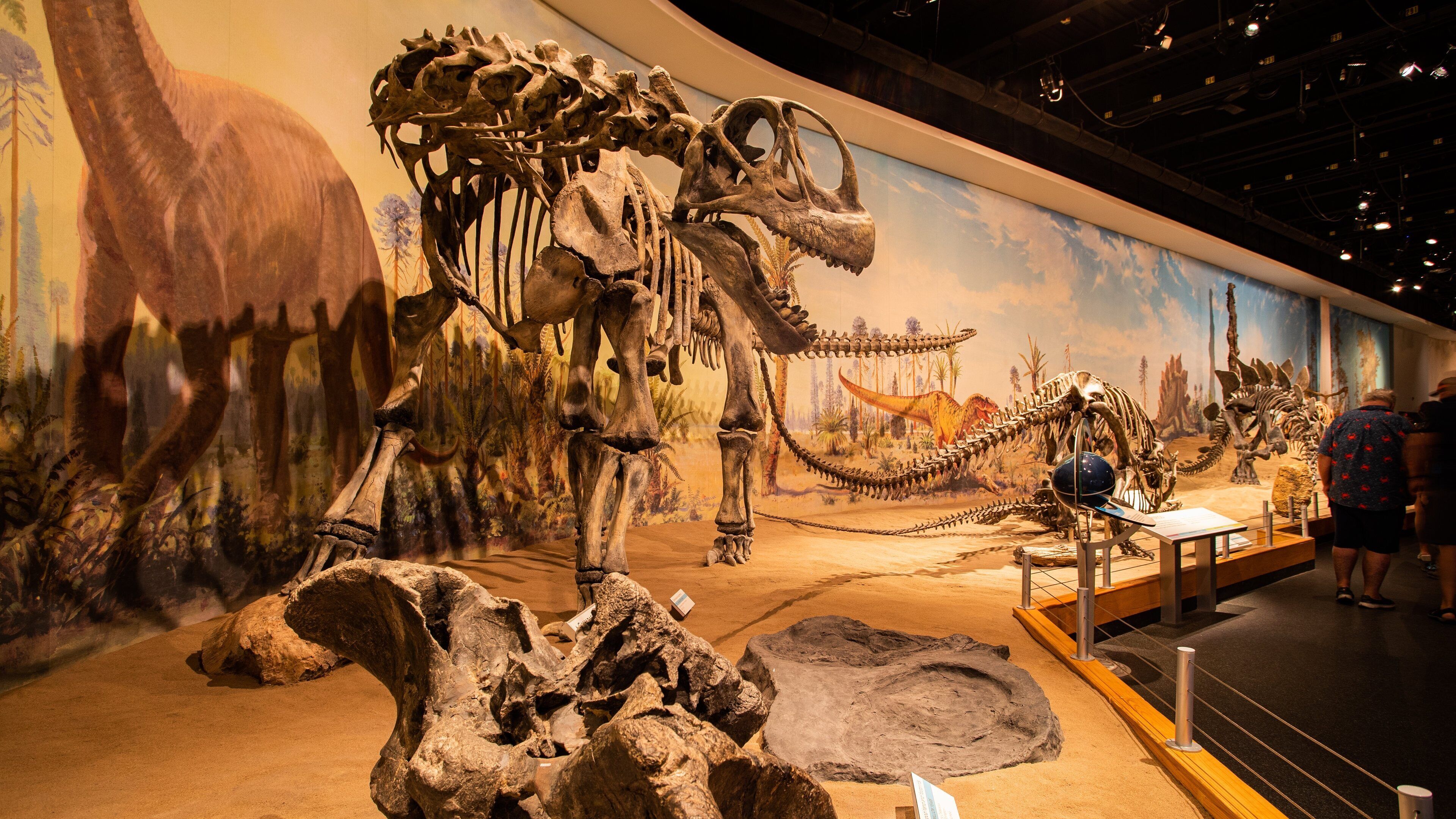 Royal Tyrrell Museum which includes heritage elements and interior views