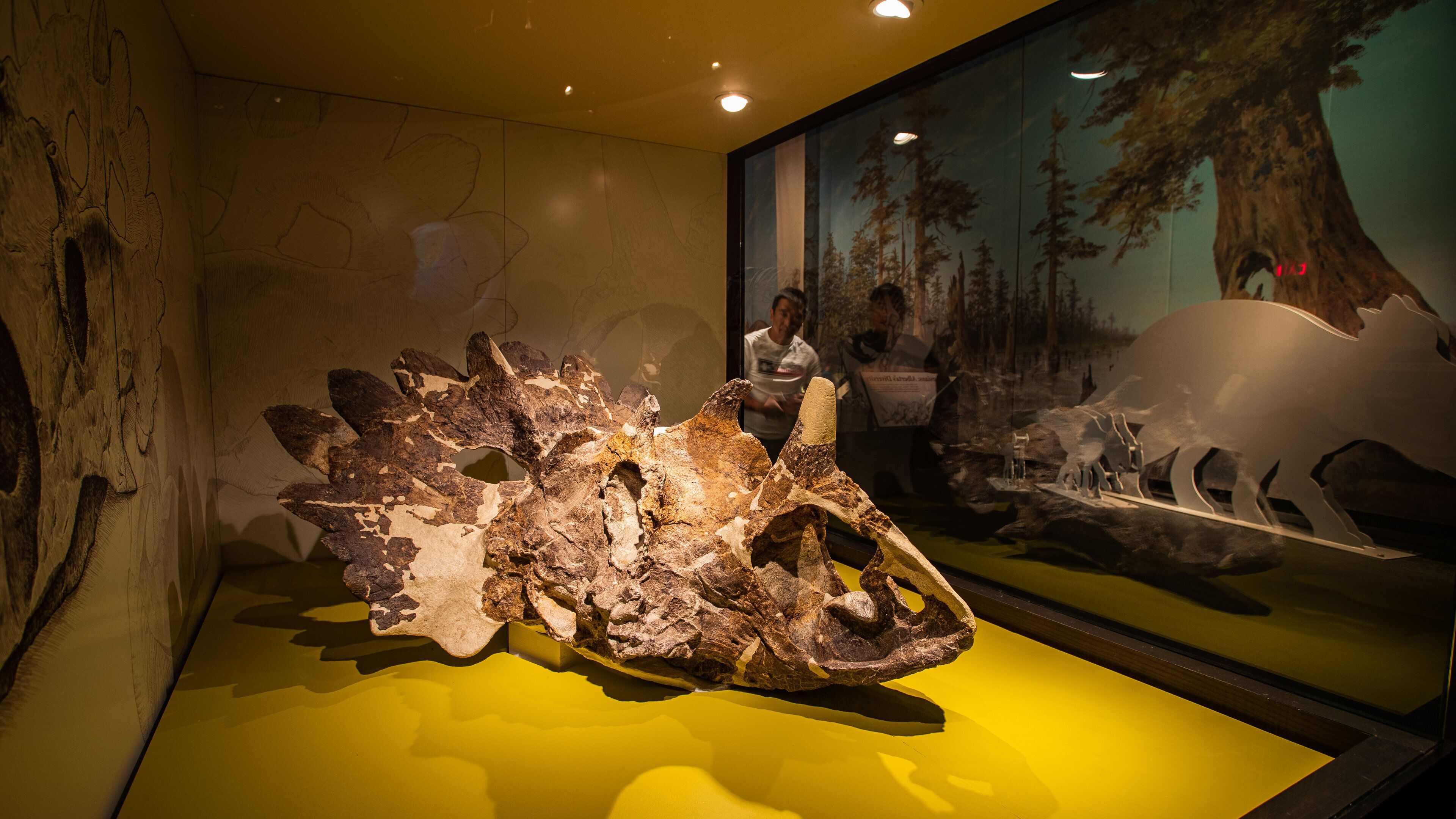 Royal Tyrrell Museum which includes interior views and heritage elements