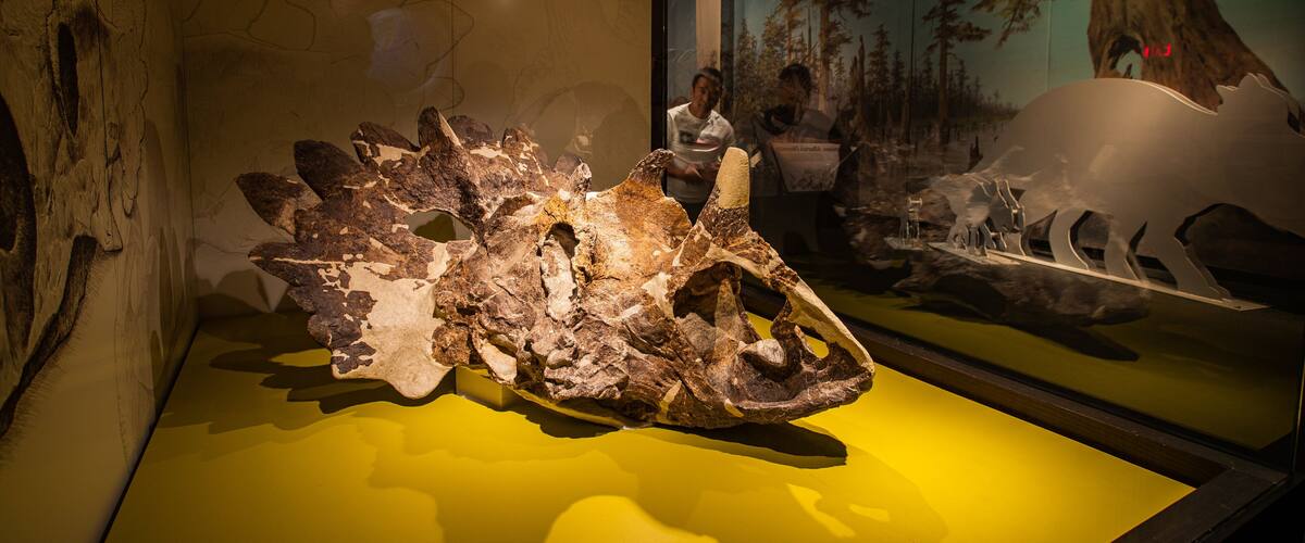 Royal Tyrrell Museum which includes interior views and heritage elements