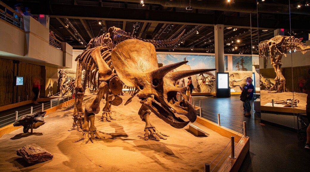 Royal Tyrrell Museum which includes heritage elements and interior views