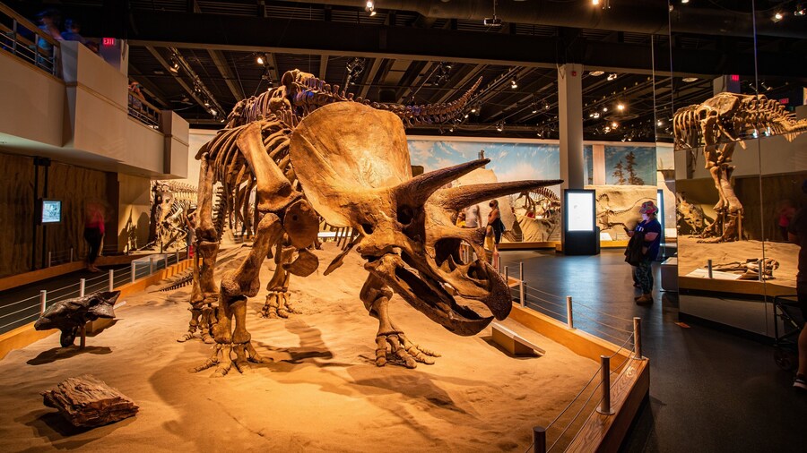 Royal Tyrrell Museum which includes heritage elements and interior views