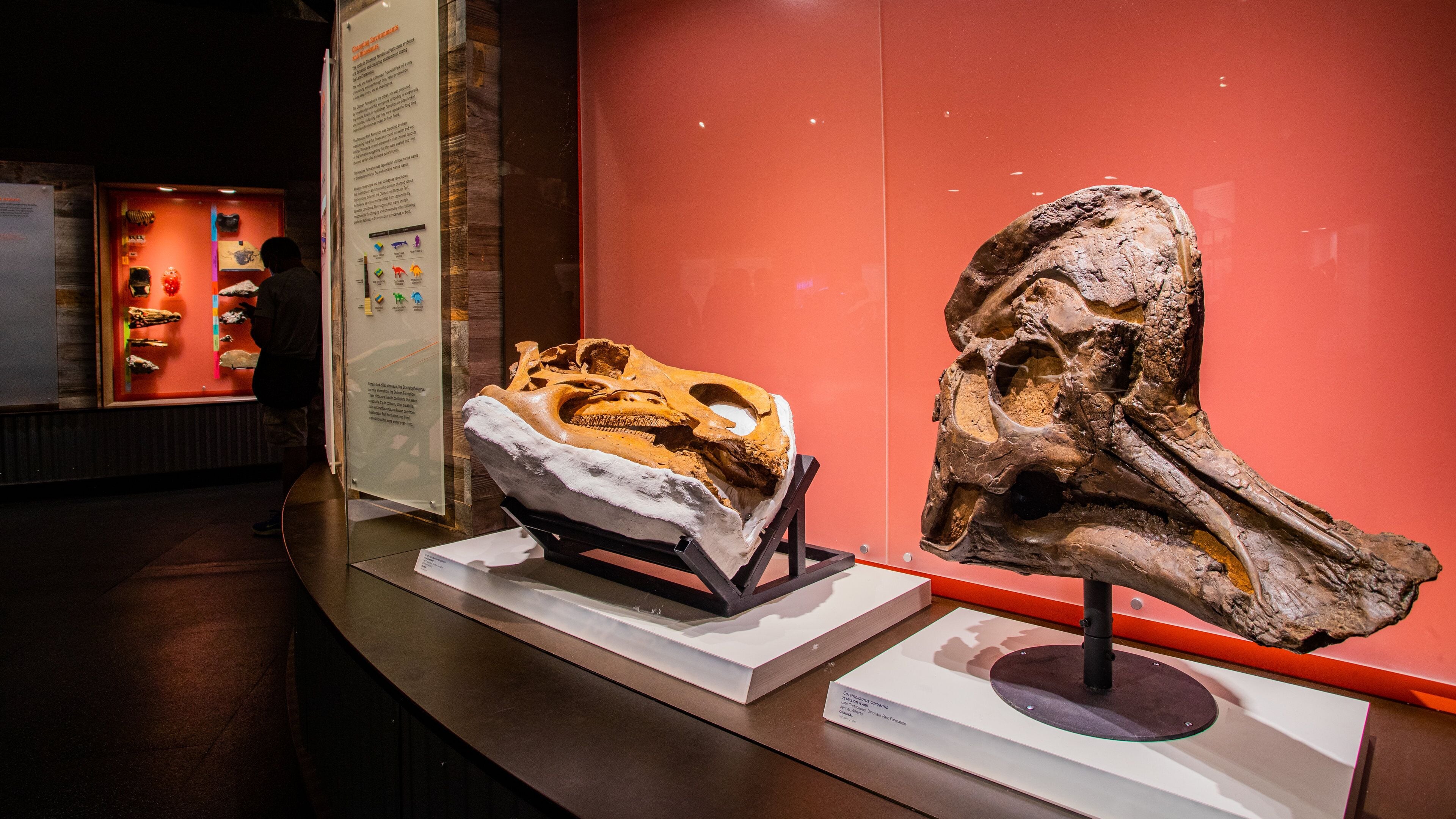 Royal Tyrrell Museum which includes interior views and heritage elements