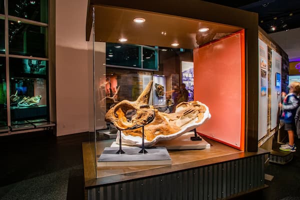 Royal Tyrrell Museum which includes heritage elements and interior views