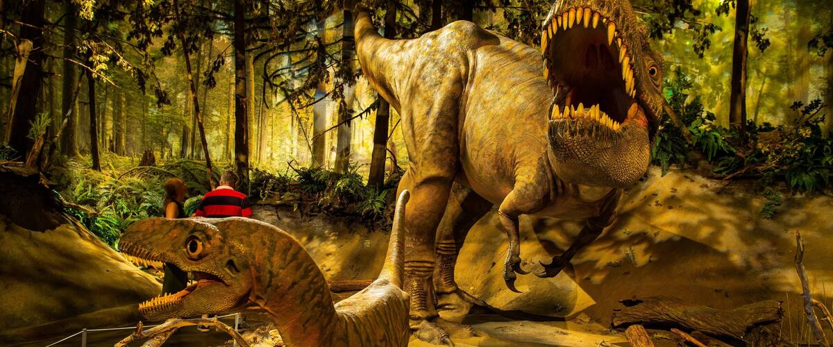 Royal Tyrrell Museum