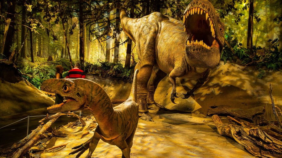 Royal Tyrrell Museum