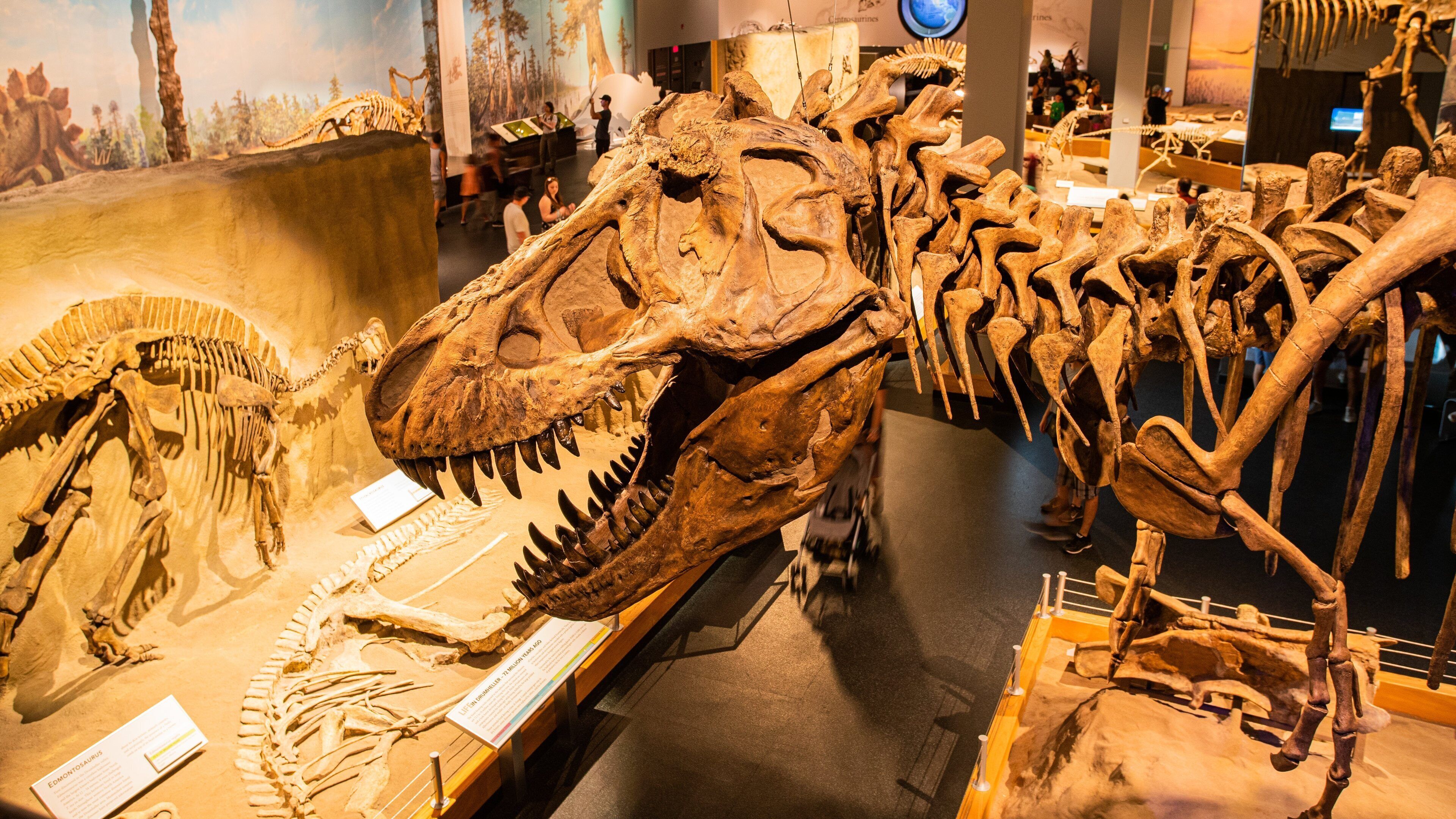 Royal Tyrrell Museum showing heritage elements