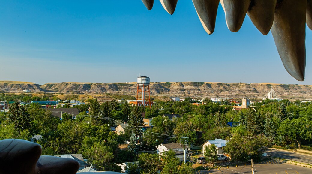 World\'s Largest Dinosaur showing a small town or village and landscape views