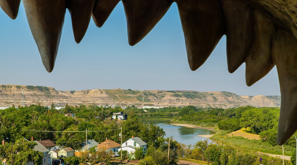 World\'s Largest Dinosaur showing a small town or village