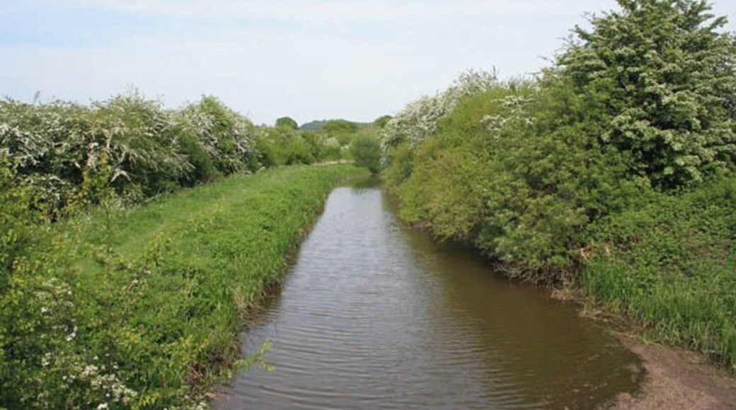 The Robbinetts Arm This short arm of the Nottingham Canal leads to a disused mine and acts as a feeder taking water from Oldmoor Wood. This is taken from the culverted bridge on Dead Lane, Cossall.