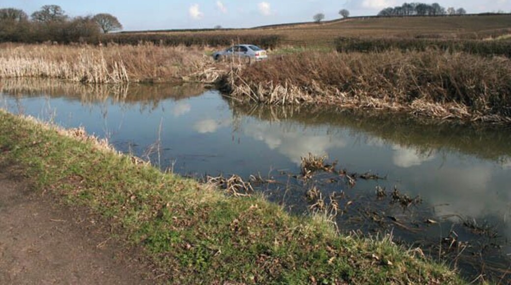 By the Nottingham Canal Cossall Road and the canal run side by side through most of their legth in this square. Here the canal and road cross a stream which is culverted under the waterway and road. Just in front of the car you can see an overflow outfall which feeds into this stream. The canal follows the 50m contour along this stretch and the trees in the distance are at 85 metres above sea level.