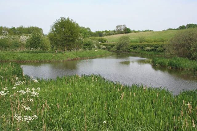 Junction with the Robbinetts Arm This is where the Arm, which is straight ahead, joins the Nottingham Canal. Created to serve a mine below Oldmoor Wood, it now acts as the main feeder channel for this section of the main canal, keeping it fully in water throughout the year. Dead Lane runs the other side of the hedge to the right.