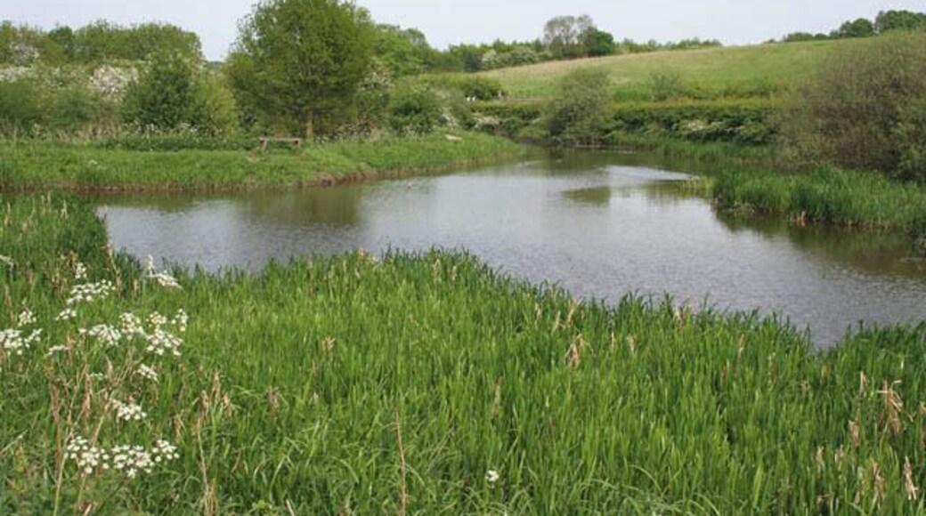 Junction with the Robbinetts Arm This is where the Arm, which is straight ahead, joins the Nottingham Canal. Created to serve a mine below Oldmoor Wood, it now acts as the main feeder channel for this section of the main canal, keeping it fully in water throughout the year. Dead Lane runs the other side of the hedge to the right.