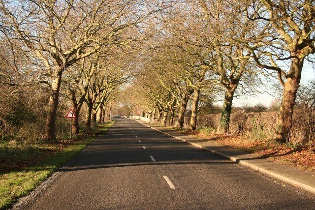 Old Grantham Road Formerly the main Nottingham to Grantham Road through Whatton-in-the-Vale, now bypassed, quiet and flanked by handsome beeches