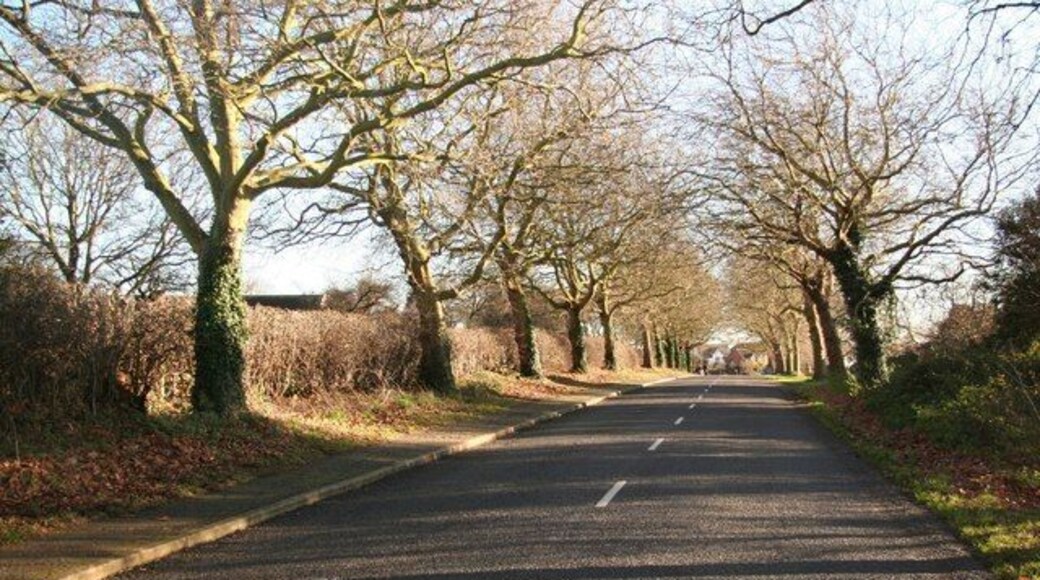 Old Grantham Road Looking towards Whatton-in-the-Vale along the old main road